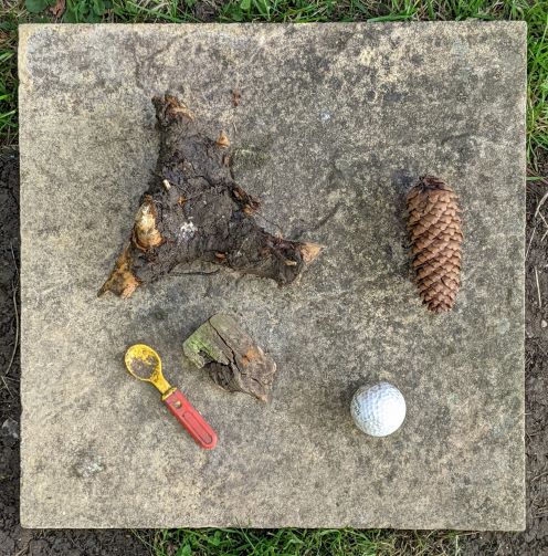 Image: Four non-boules and a jack (golf ball)