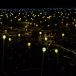 A Smattering of Stories