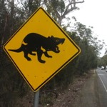 Tasmanian Devil road sign