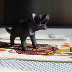 Tasmanian Devil on the heap