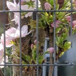 Everything Becomes Connected